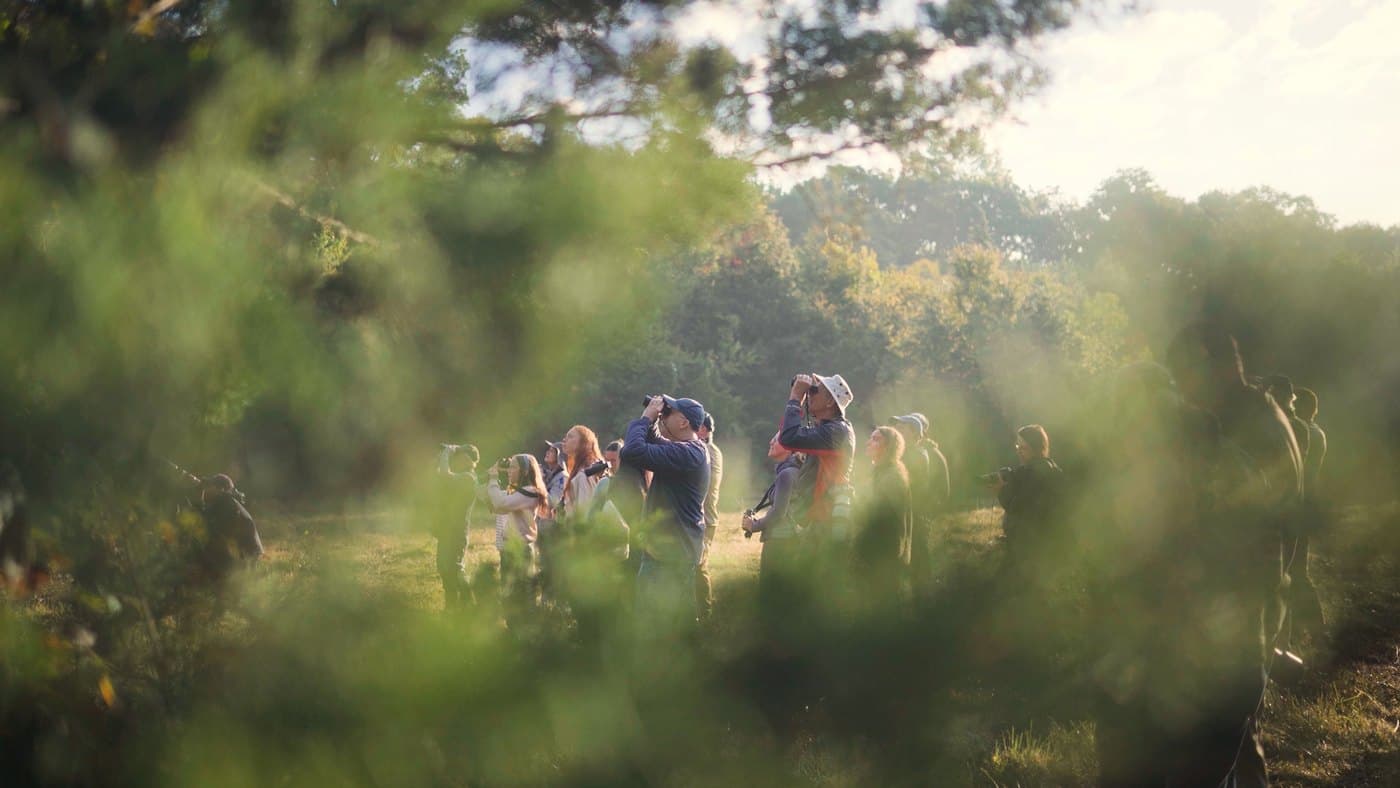 Birders spending time together in the field